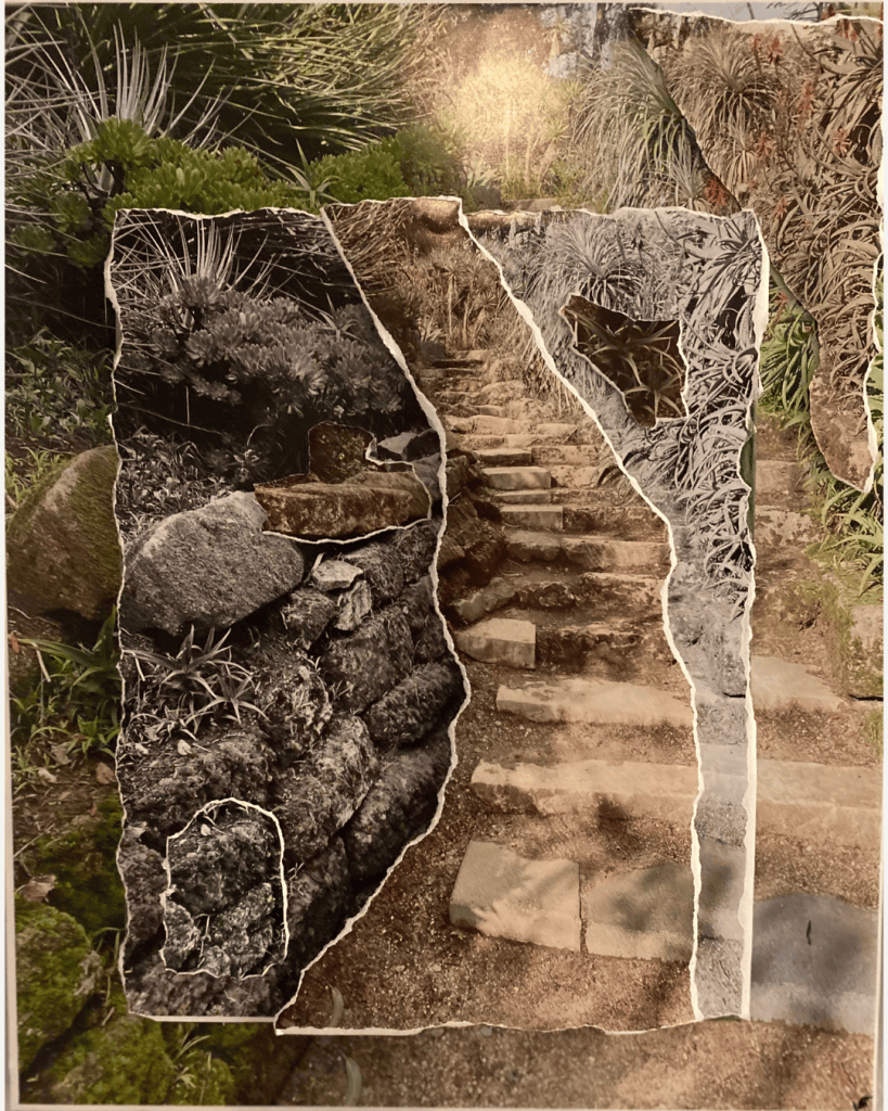 Victoria Orlando’s layered mixed-media artwork showing a stone pathway amid plants and rock.